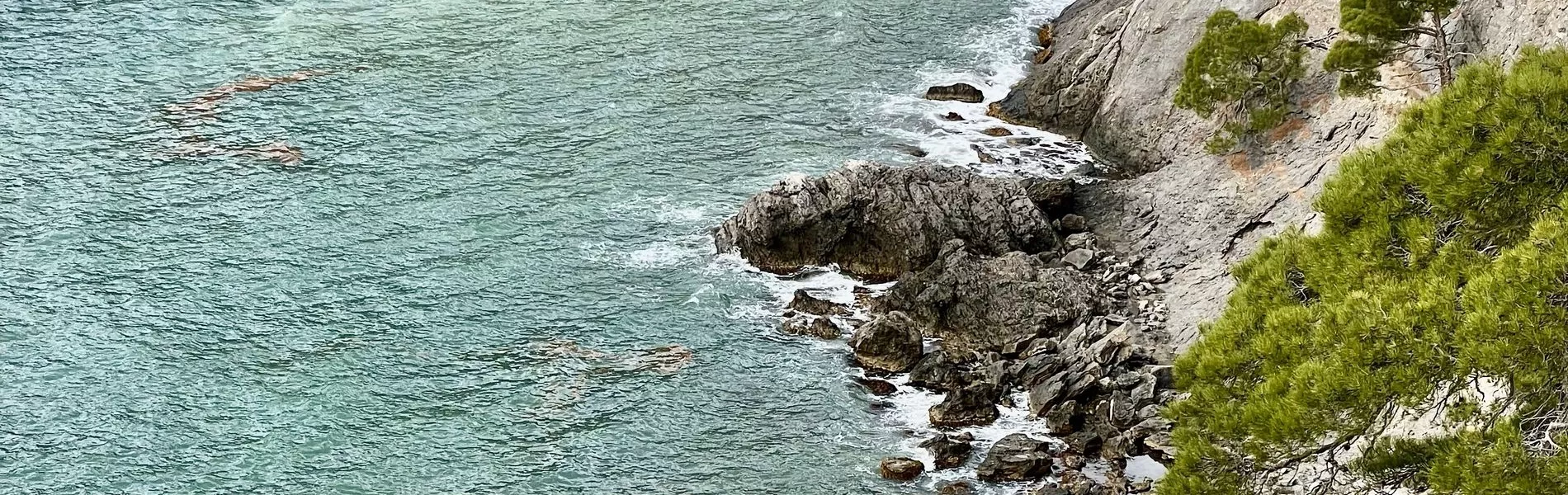 Отдых в Крыму